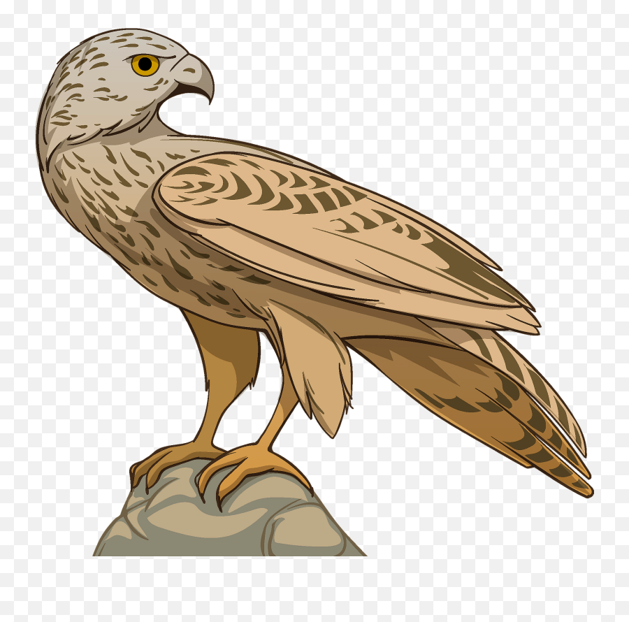 Hawk Clipart - Hawk Clipart Emoji,Hawk Emoji