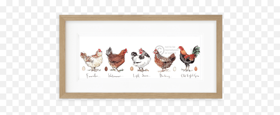 Chickens - Picture Frame Emoji,Emotion In Chickens
