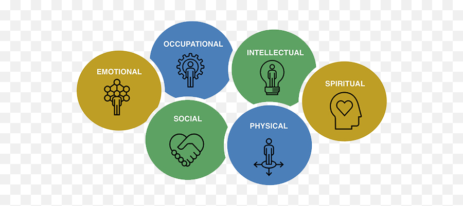 Student Wellness Student Life Northwestern Pritzker School - Kélonia Emoji,Emotions Vs Facts Practice For Students