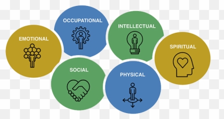 Student Wellness Student Life Northwestern Pritzker School - Kélonia Emoji,Emotions Vs Facts Practice For Students