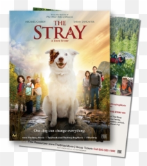 September 2017 - Stray Movie Emoji,In A Glass Case Of Emotion Upchurch