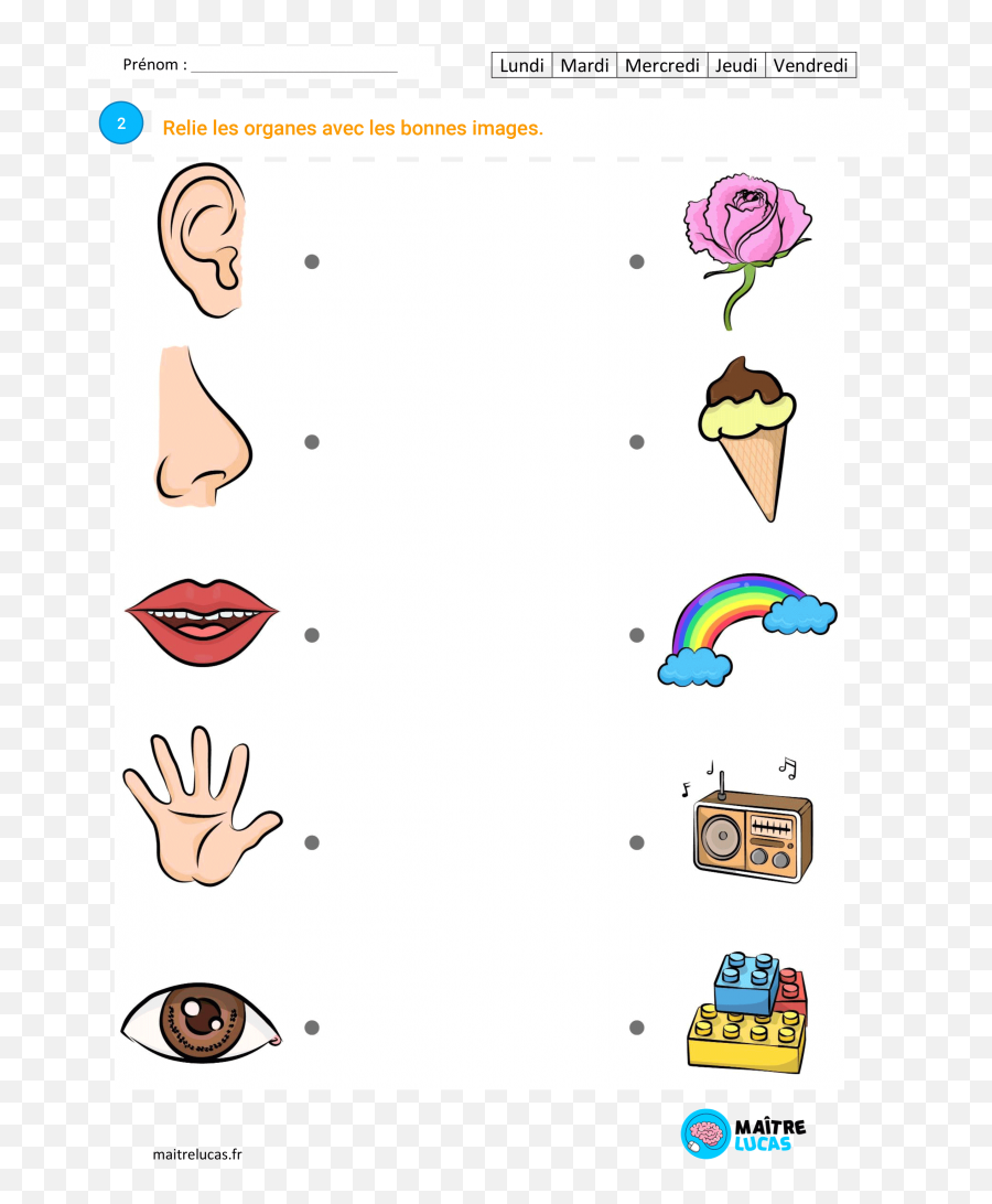 Profil De Nérina Prelli - Five Senses Cartoon Emoji,Atelier Emotions Fabriquer Visage Enfants