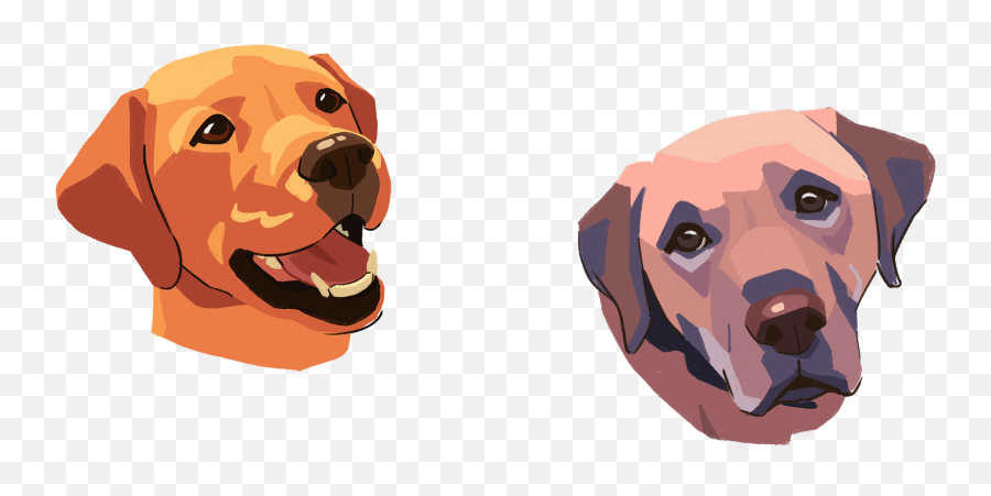 Kngf - Colorbleed Dog Supply Emoji,Dog Faces Emotions