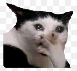 The Most Edited - Michi Llorando Meme Emoji,Emotion Llorando