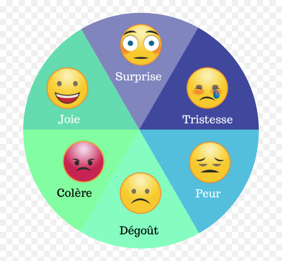 Pnl Emoji,La Roue Des Emotions A Construire