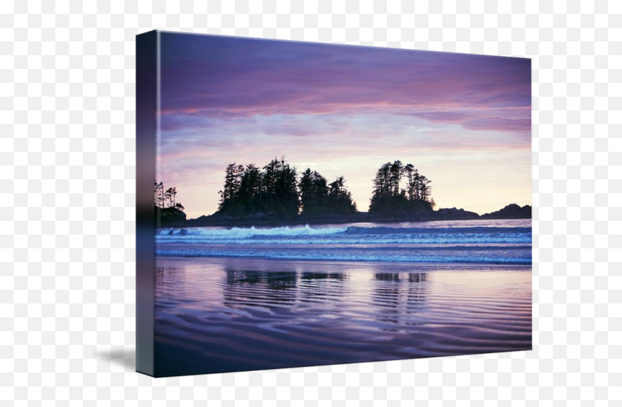 Sunset On Chesterman Beach Tofino Bc Photograph By Ron Fehling Emoji,Emotion Ocean Water