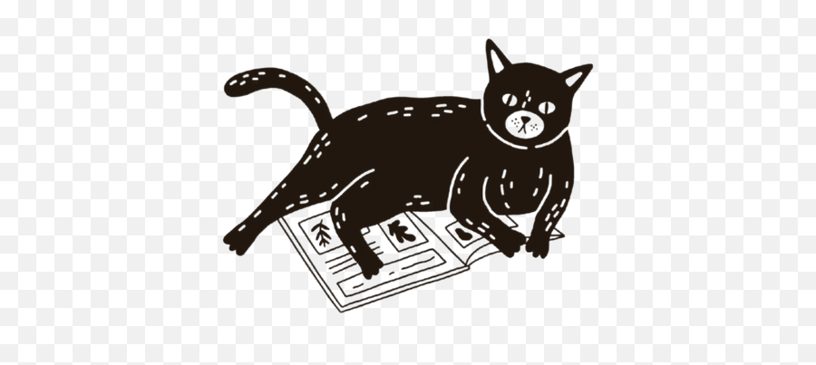 Cats In Need - Vet U0026 Ngo Helpline Numbers U2013 Curious Cat Company Emoji,Gmail Facepalm Emoji