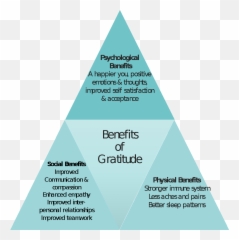 Gratitude Gives You Wings U2013 Find Your Wings - Benefits Of Gratitude Triangle Emoji,Emotions And Wings