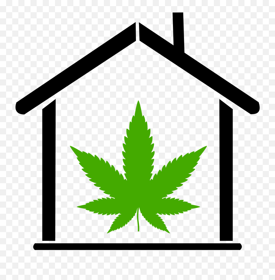 Headquarters Hq Learning Center Green Cultured Elearning - Marijuana Leaf Emoji,Marijuana Skype Emoticon
