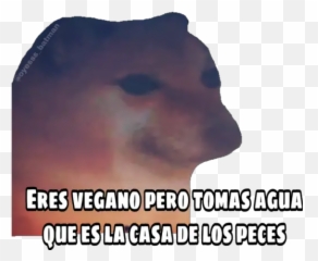 En Fin La Hipocresía Stickers For Whatsapp - Fin La Hipocresía Meme Emoji,De Adivina Los Emojis Cristiano