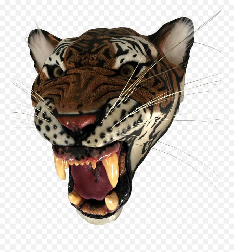 Saber Tooth Tiger Png - Transparent Tiger Mask Png Emoji,Facebook Sabertooth Tiger Emojis