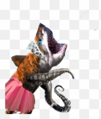 Sharktopus Fan Club Fansite With Photos Videos And More - Funny Pet Videos Emoji,How To Put Emoticons In Polls On Deviantart