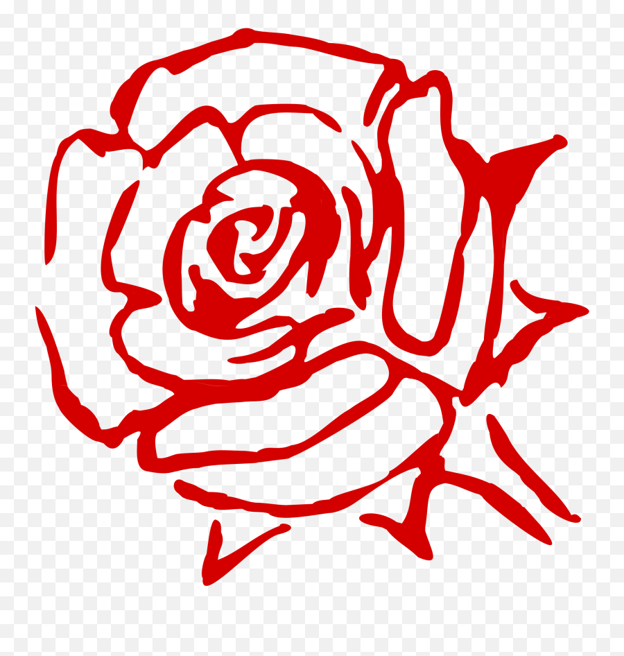 Rose Family Flower China Rose Garden Roses Cabbage - Art Rose Outline Clipart Red Emoji,Rose Emoji Art