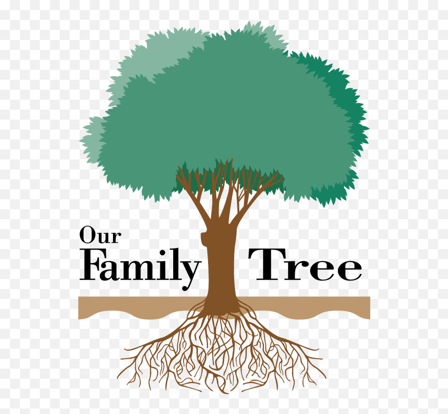 Family Tree. Семейное дерево растение. Tree Reunion. Family Tree Clipart.