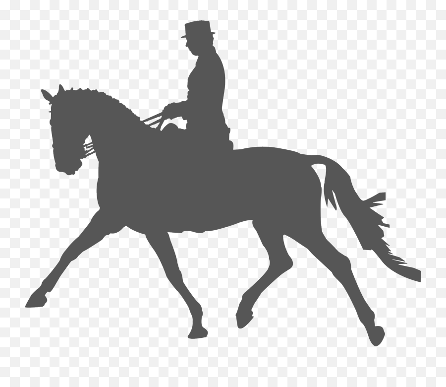 Dressage Png U0026 Free Dressagepng Transparent Images 142480 - Transparent Dressage Silhouette Emoji,Horse Rider Emoji