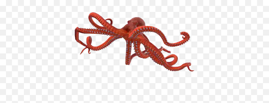 The Most Edited Octopus Picsart - Common Octopus Emoji,:octopus: Emoticon