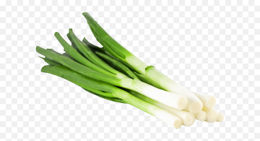 The Anatomy Of Garlic A Key Chinese Cooking Ingredient - Spring Onion In German Emoji,Onion Emoji