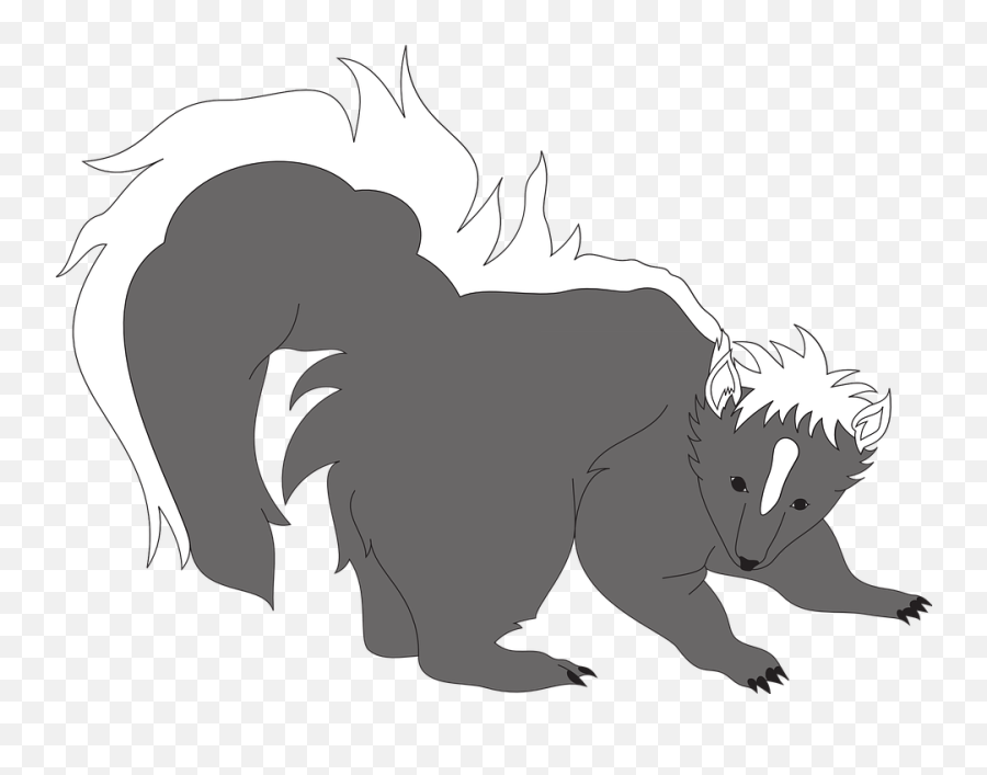 Free Photo Fur Animal Gray Furry Skunk - Png Stinktier Emoji,How To Draw Emotions Of Furries