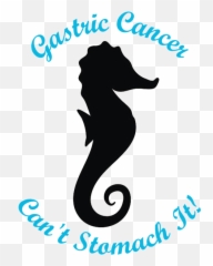 The News - Northern Seahorse Emoji,Gastric Cancer Nursing Diagnosis Emotion