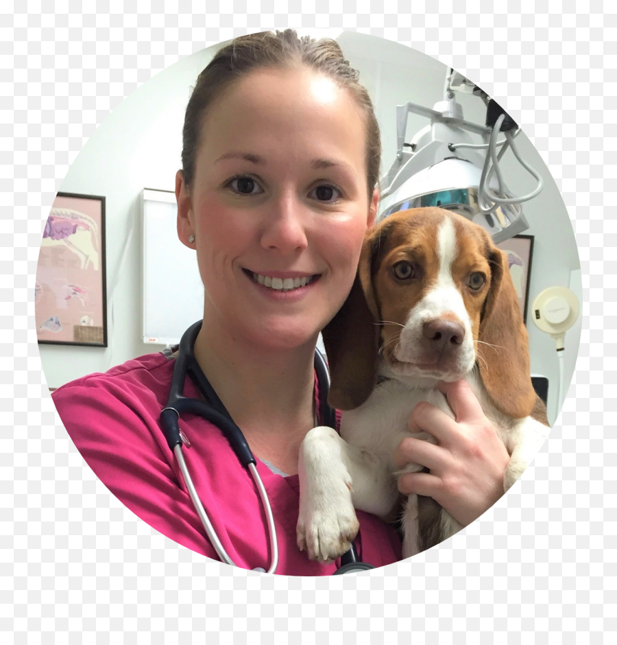 Arnold Pet Station - About Us And Our Vets Beagle Emoji,Beagle Puppy Emotions