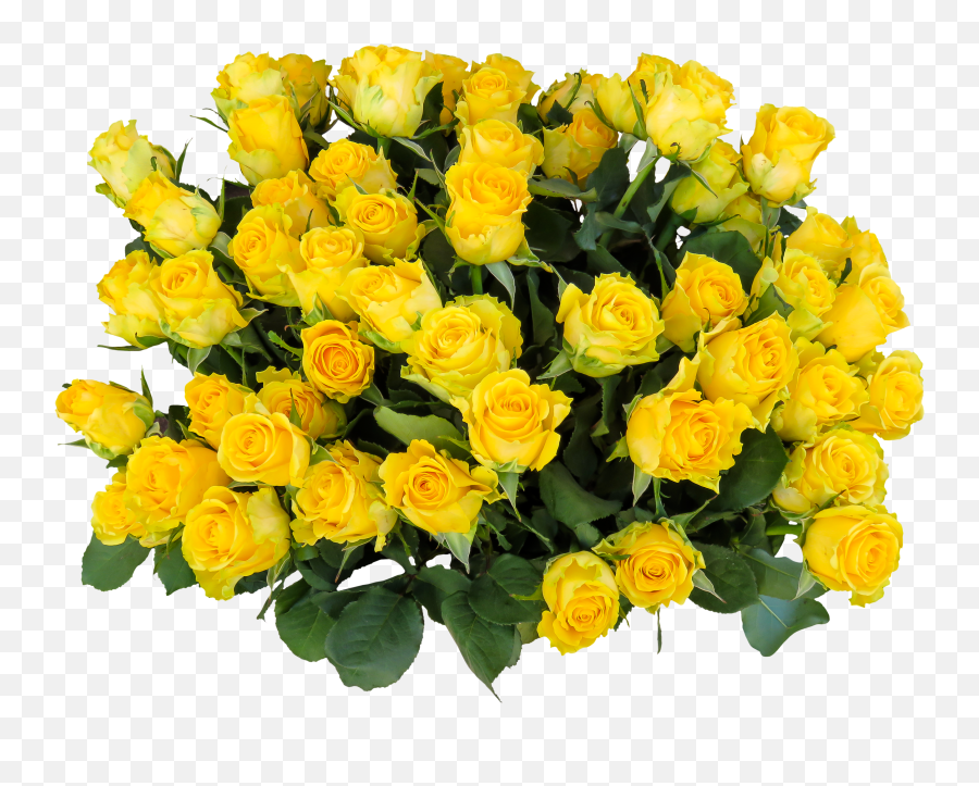 Ravishing Emotions Roses Birthday Free Image Download - Transparent Bouquet Yellow Roses Emoji,A Garden Of Emotions Have A Good Day