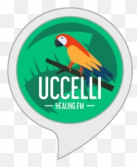Amazon - True Parrot Emoji,Donnsa Che Urla Maledetti Sky Emoticon
