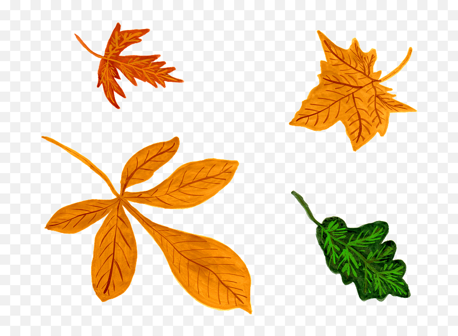 Autumn Leaves Clipart Free Download Transparent Png Emoji,Yellow Leaves Emoji