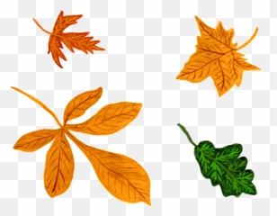 Autumn Leaves Clipart Free Download Transparent Png Emoji,Yellow Leaves Emoji