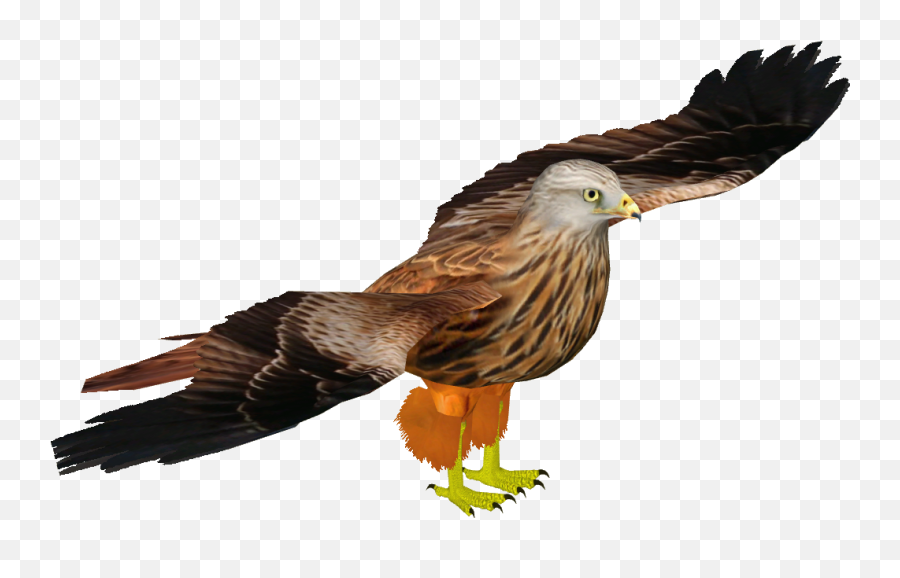 Red Kite Ulquiorra Zt2 Download Library Wiki Fandom Emoji,Hawk Emojio