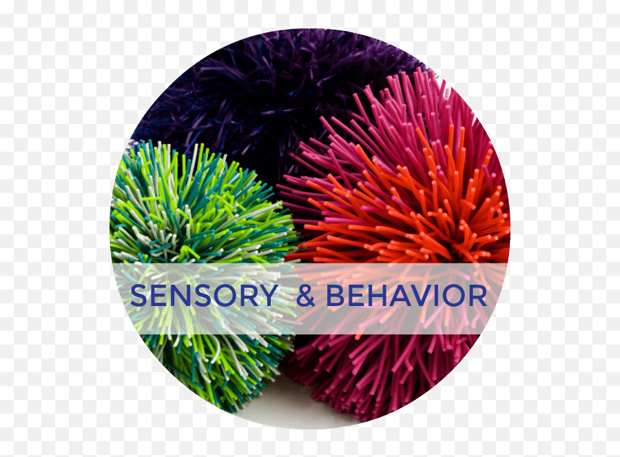 Child Behavior Sensory Processing - Sea Urchin Emoji,Sensory Emotions