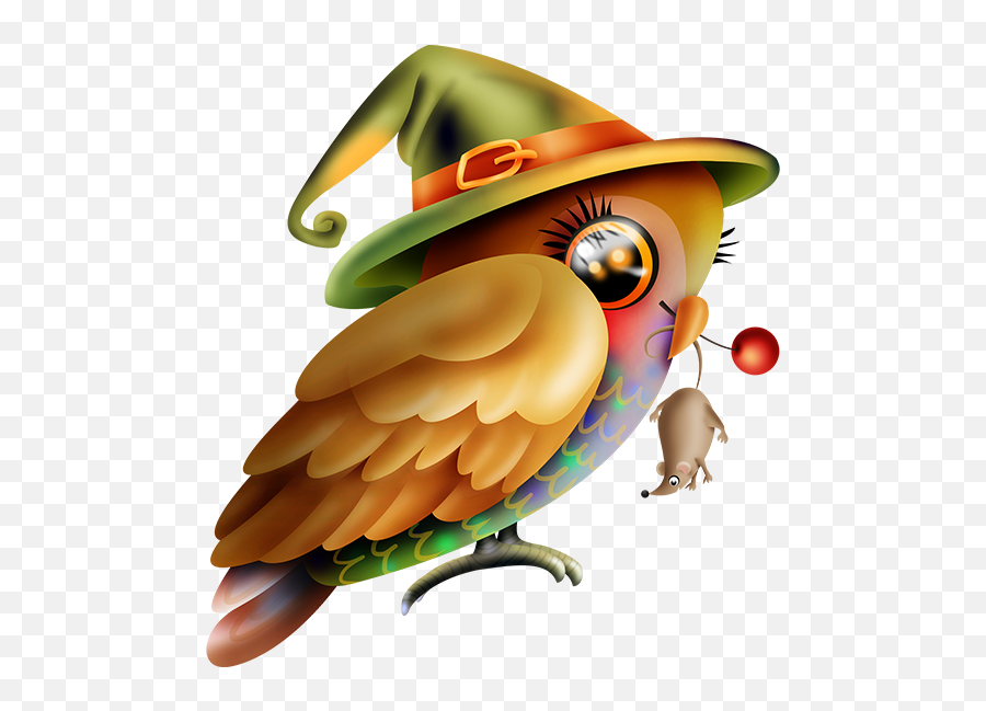 Pin By Anita Camarillo On Bird In 2020 Bird Views Album - Costume Hat Emoji,Emoticon Sonbrilla Whatsapp