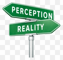 Sandi Smith - Patins Ponders Blog Perception And Reality Icon Emoji,In Art, Lines Can Express Emotion. True False