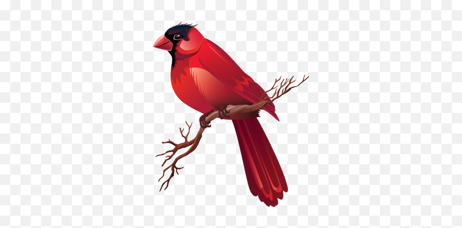 Esl Lesson - Northern Cardinal Emoji,Esl Describing Feelings And Emotions