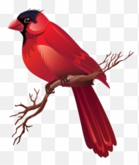 Esl Lesson - Northern Cardinal Emoji,Esl Describing Feelings And Emotions