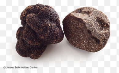 Truffles Umami Ingredients Umami Inspiration - Truffle Emoji,Umami The Fifth Emotion