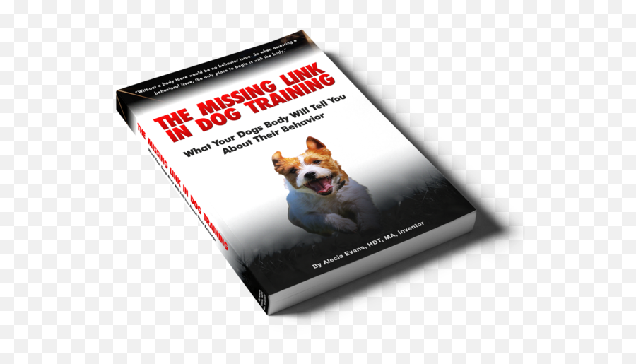 The Missing Link In Dog Training Ebook U2013 Walk In Sync - Northern Breed Group Emoji,Beagle Puppy Emotions