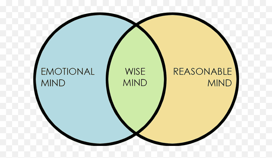 Feelings - Wise Mind Emoji,Jealousy Is A Stupid Emotion