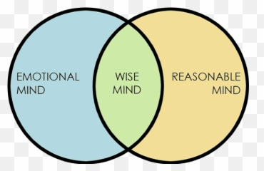 Feelings - Wise Mind Emoji,Jealousy Is A Stupid Emotion