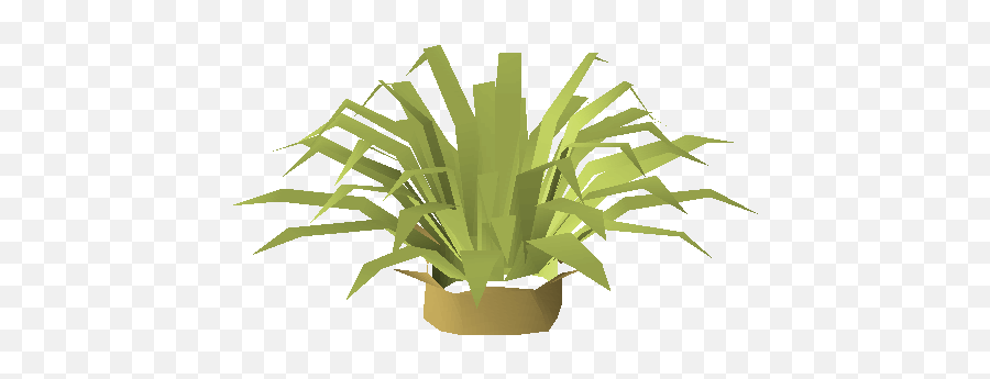 Pineapple Plant - Pineapple Tree Osrs Emoji,:banana Plant: Emoji