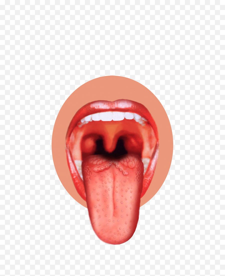 Tongue1 Tonguepng - Tongue With Taste Buds Emoji,Toung Emoji