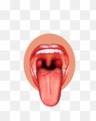 Tongue1 Tonguepng - Tongue With Taste Buds Emoji,Toung Emoji