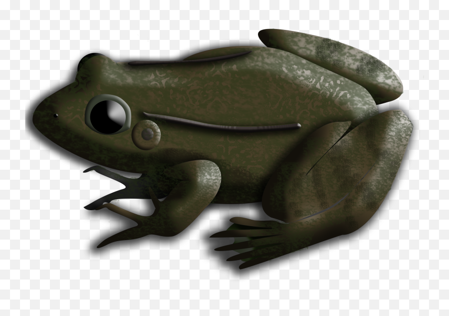 Frogs - Toads Emoji,Spadefoot Toad Emotion