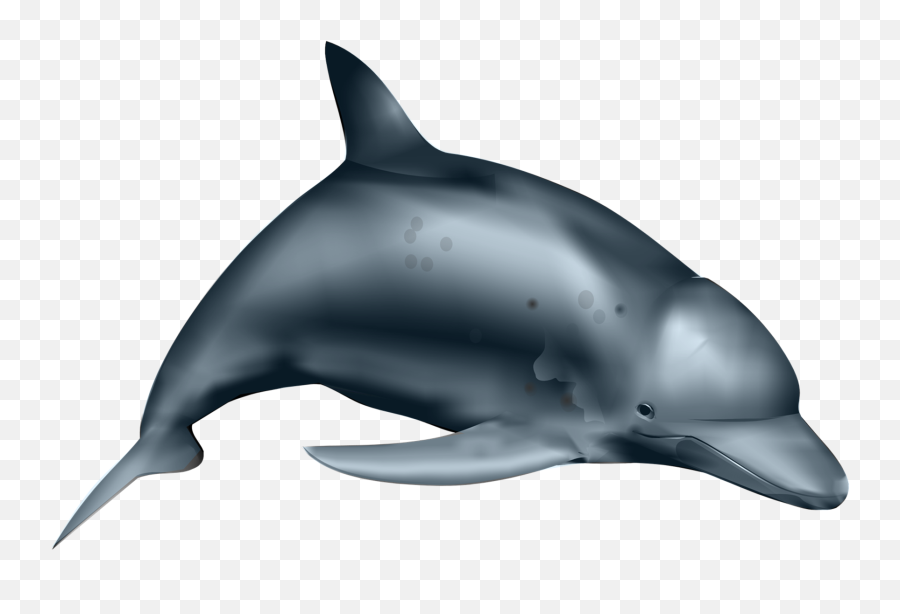The Most Edited - Common Bottlenose Dolphin Emoji,Dolphin Emoji Pillow