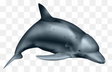 The Most Edited - Common Bottlenose Dolphin Emoji,Dolphin Emoji Pillow