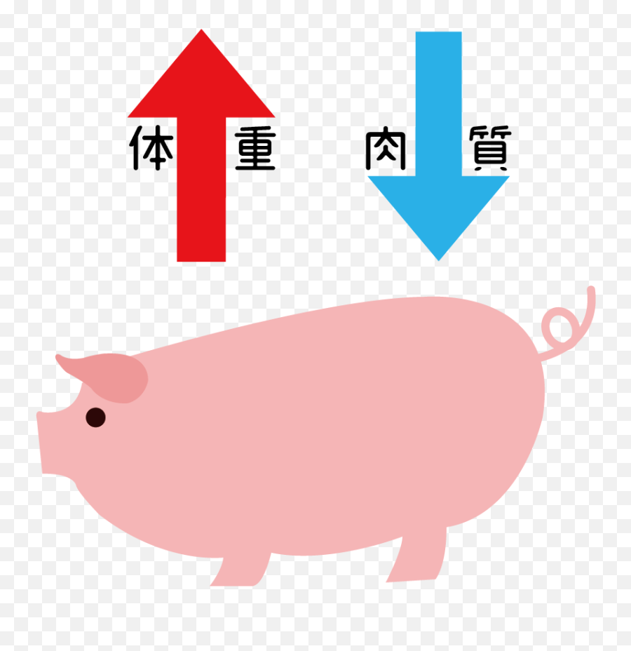 Visual Adaptation Illustration Materials About A - Plat Emoji,Apple Pig Emoji Outline