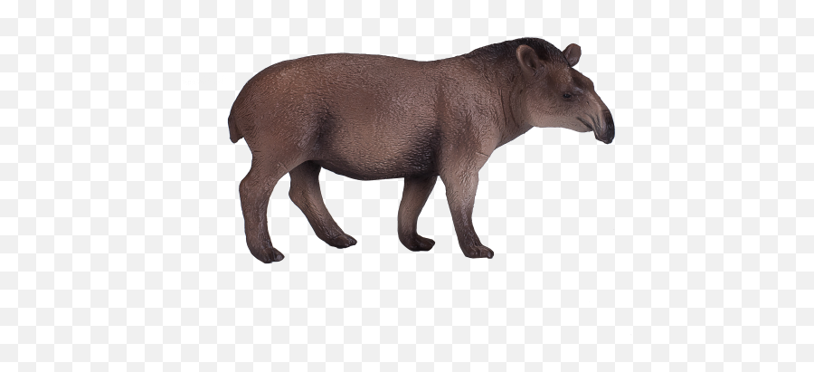 Best Sales - Mojo Brazilian Tapir Emoji,Pexeso Emotions