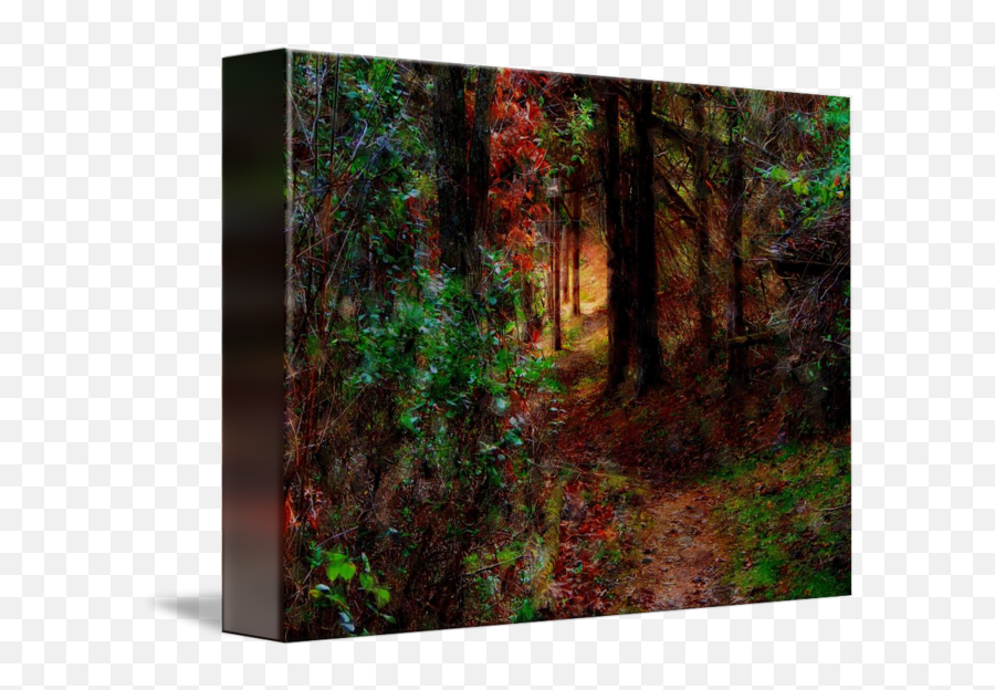 Forest Trail - Northern Hardwood Forest Emoji,Dark Forest Of Emotion