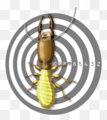 On Target - Parasitism Emoji,Emotion Regulation Questionnaire Epq Rss