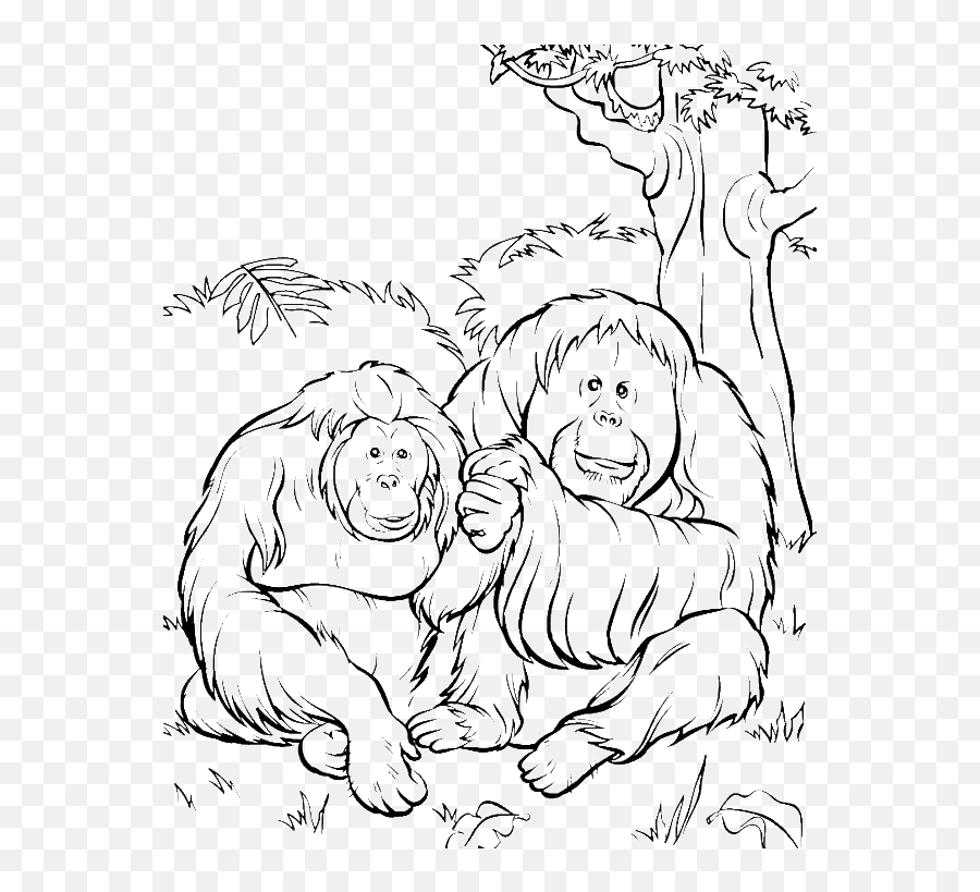 Orangutan Coloring Pages Png U0026 Free Orangutan Coloring Pages - Orangutan Coloring Pages Emoji,Coloring Pages Emojis Cute Pairs