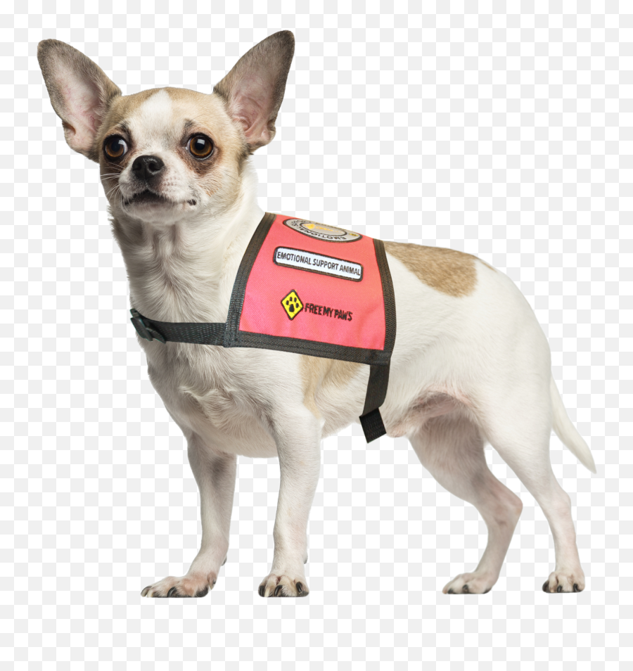 Red Vest Patches - Emotional Support Animal Identification Emoji,Emotion Chart Using Dogs